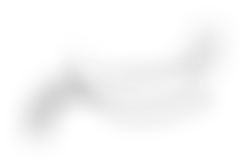 bg3